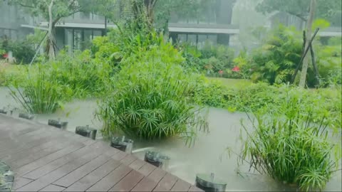 Soothing Rain by the Lakeside | Nature Sleep & Mind Relaxation