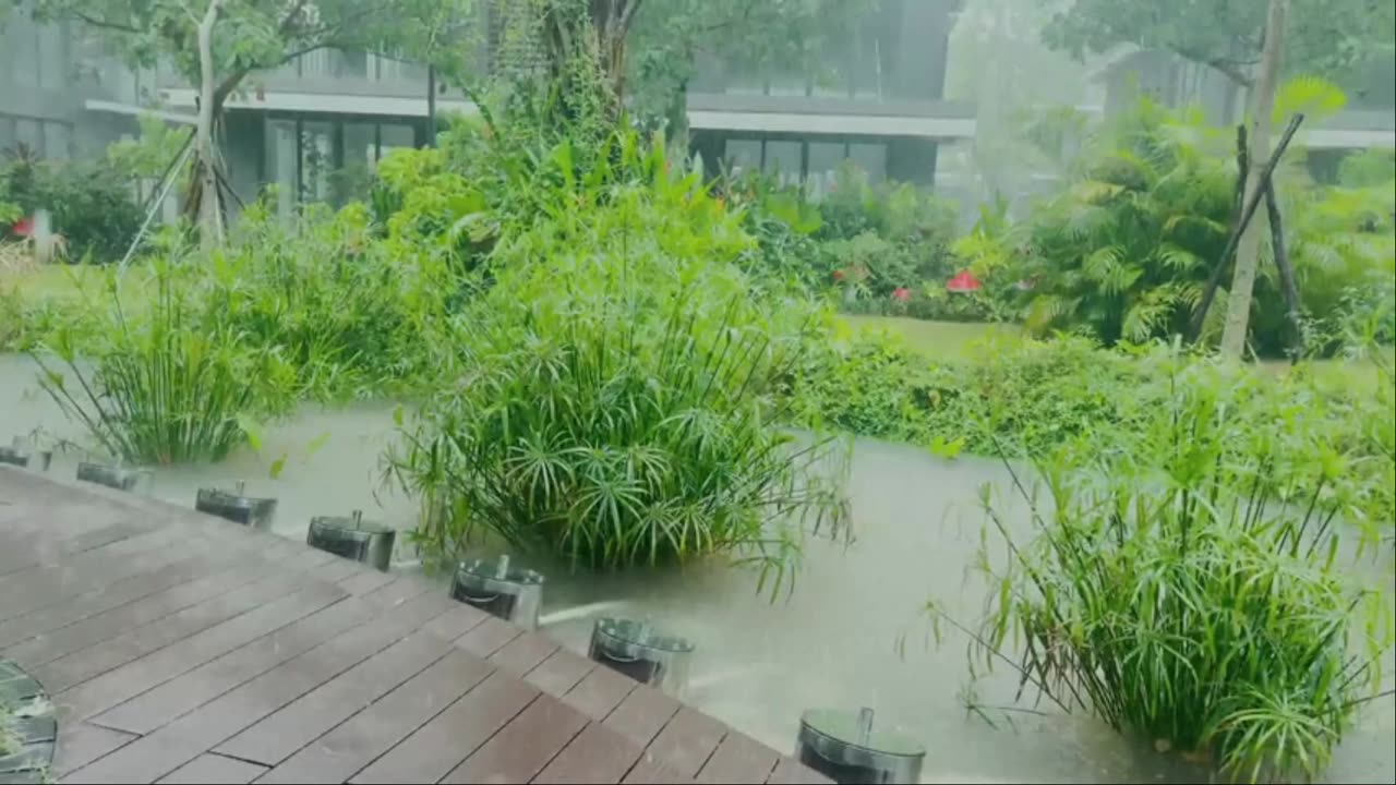 Soothing Rain by the Lakeside | Nature Sleep & Mind Relaxation