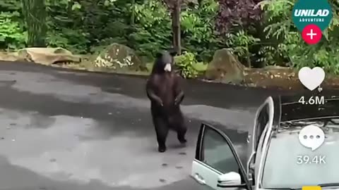 🤣😱 Scaring a Bear with the WORST Prank EVER! | FunFM