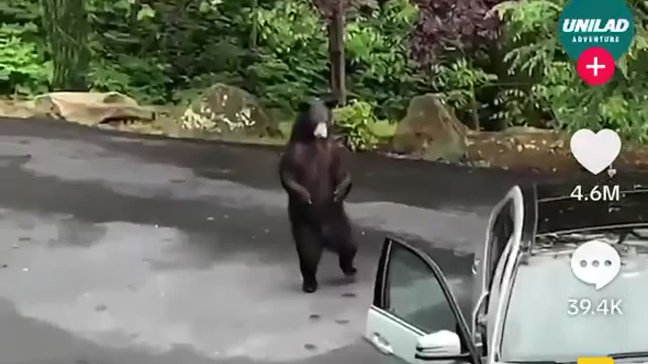 🤣😱 Scaring a Bear with the WORST Prank EVER! | FunFM