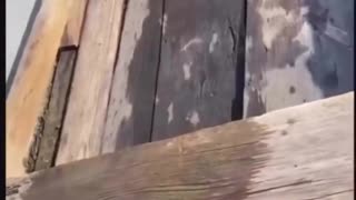 😂🌴 Vacation Gone Wild! | FunFM