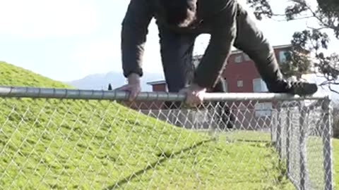 How to Get over a fence - funny animals ways