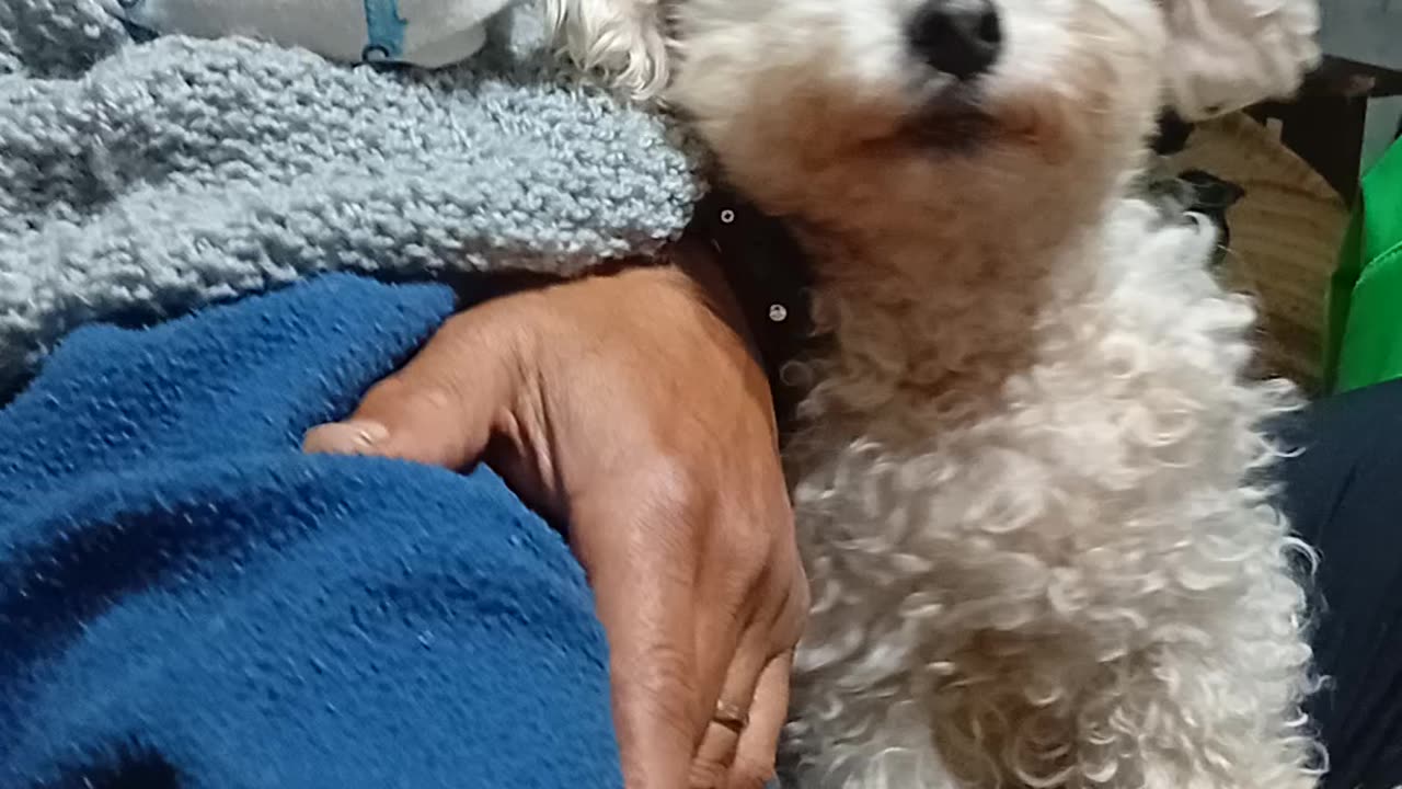 Rocking the Babies to Sleep