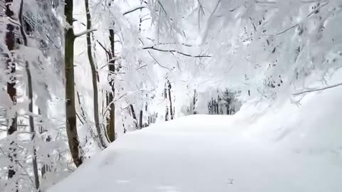 Magical winter drive in Romania ❄️🇷🇴