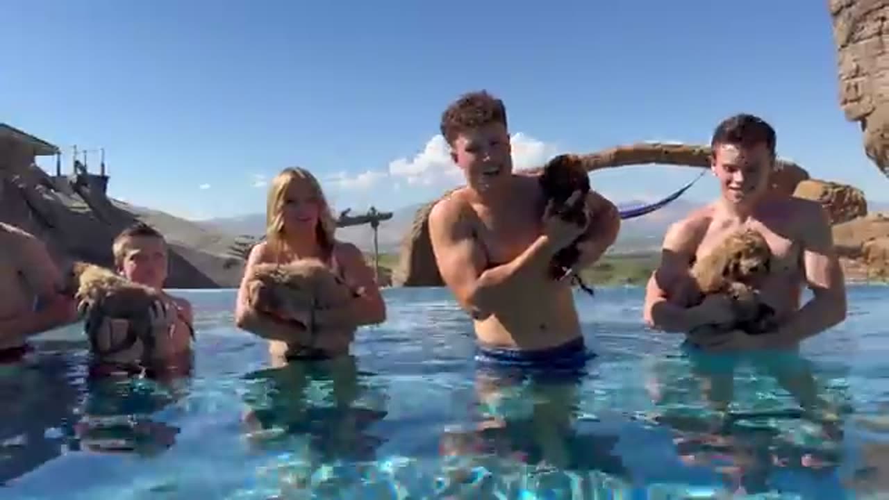 Teaching My PUPPIES To SWIM for the First Time!