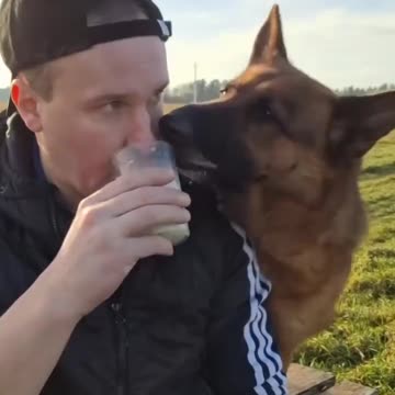 Let me help you with that 🤣