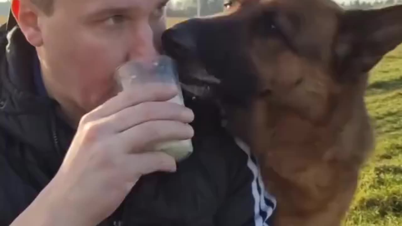 Let me help you with that 🤣