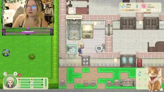 Chicken Live Stream