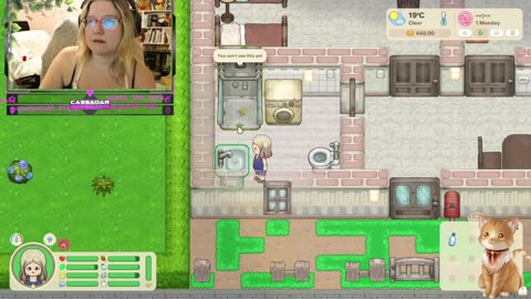 Chicken Live Stream