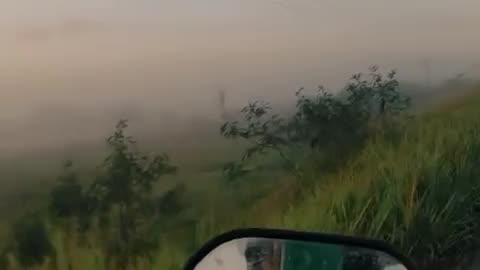 Beautiful nature