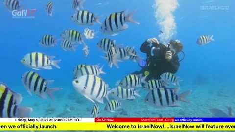 IsraelNow Live Stream