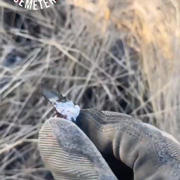 Ukraine war combat footage 7/29/25