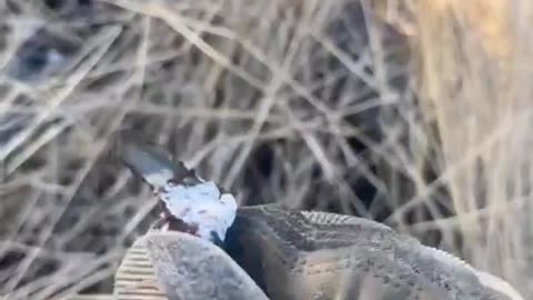Ukraine war combat footage 7/29/25