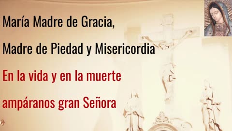 En la Iglesia EN VIVO