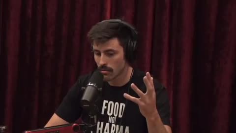 Ian Carrol on Epstein, Israel, and the Jewish People