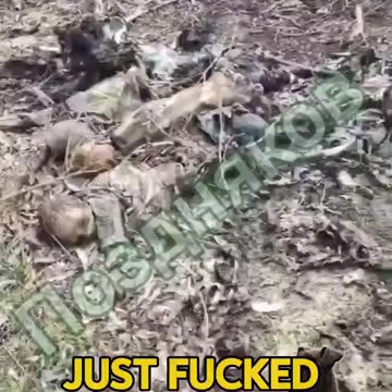 🇷🇺🇺🇦 Here the bodies of kids! What monsters would execute children?