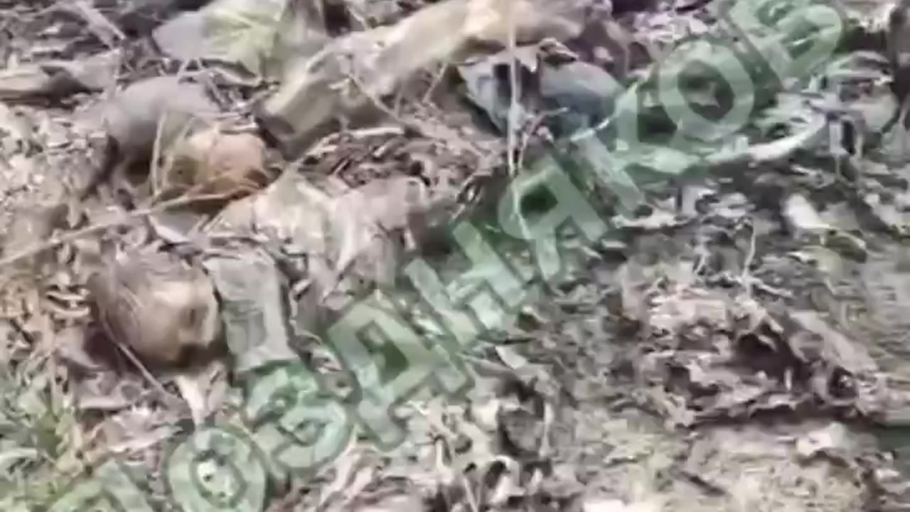 🇷🇺🇺🇦 Here the bodies of kids! What monsters would execute children?