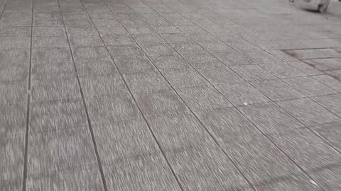 Pathways game explored