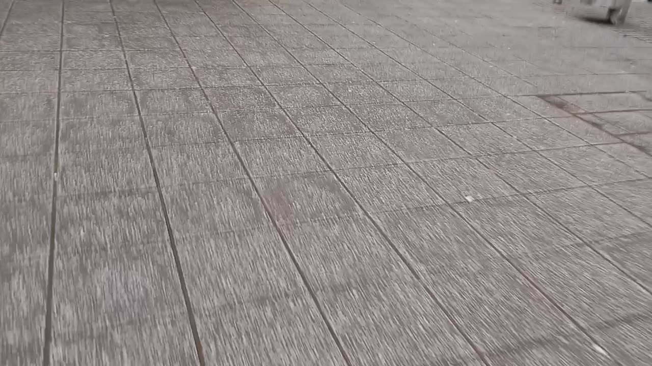 Pathways game explored