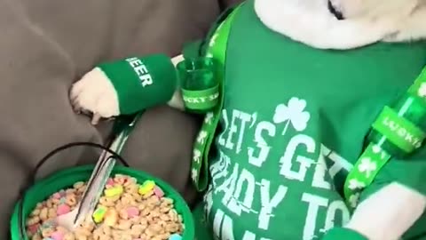 Gots His Treats