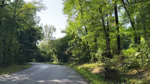 8-Mile Morning