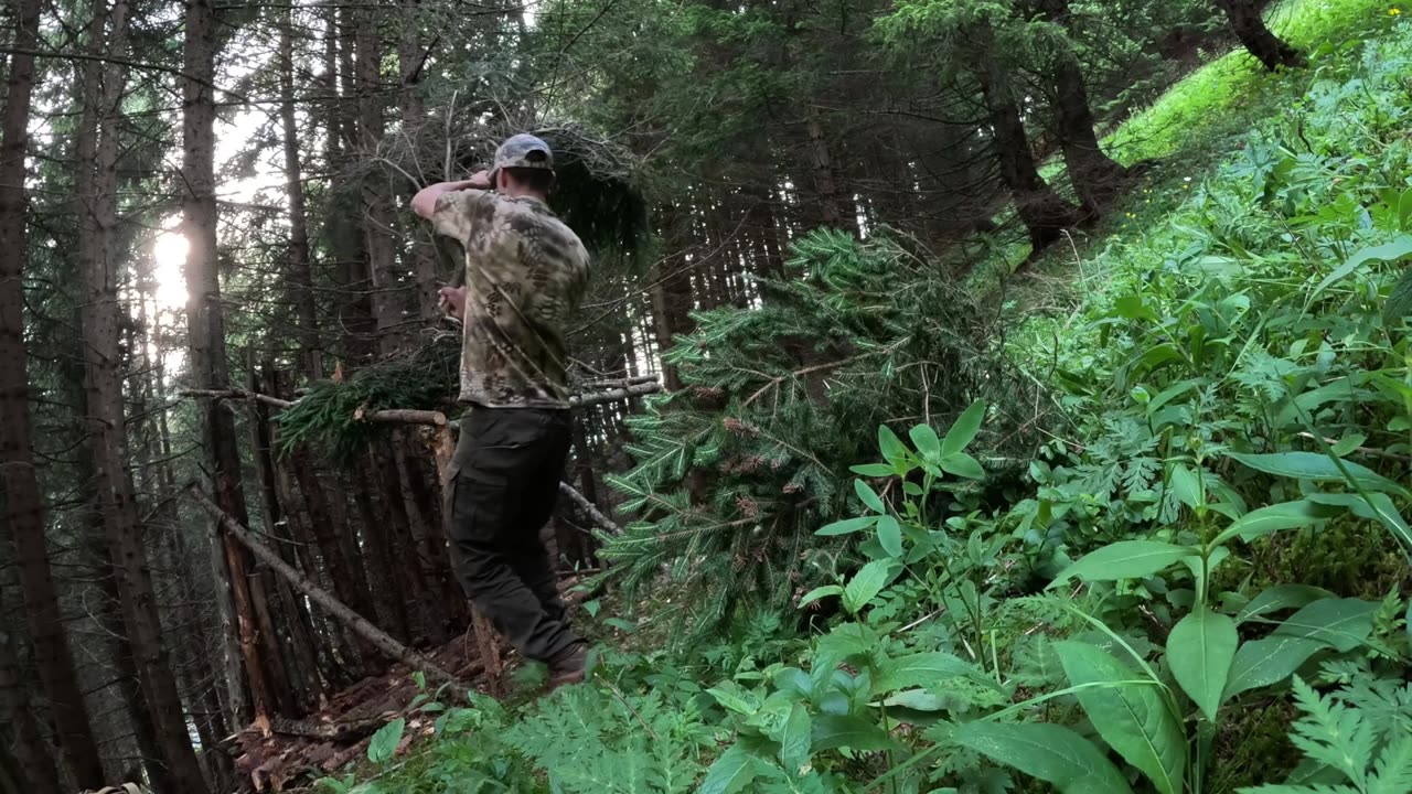 BUILDING an off-grid SURVIVAL SEHLTER and overnight stay