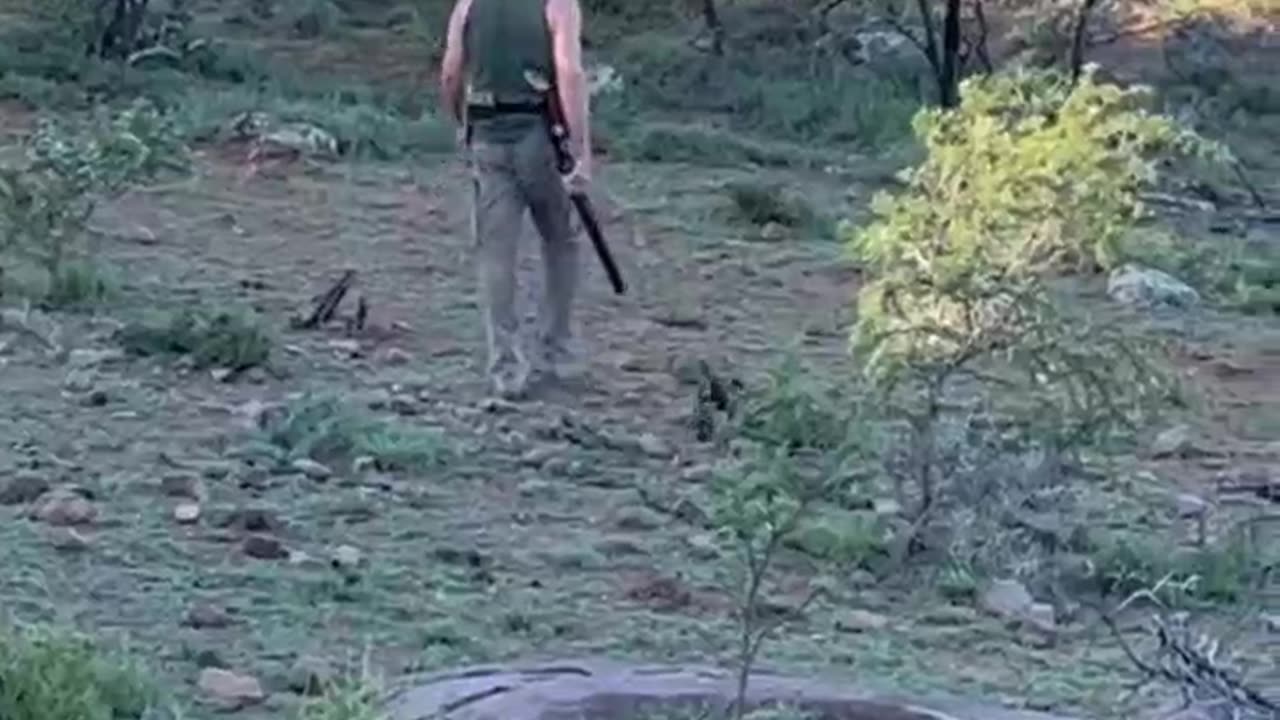 A day in the life at Buffalo Bore Game Preserve Gannahoek, South Africa