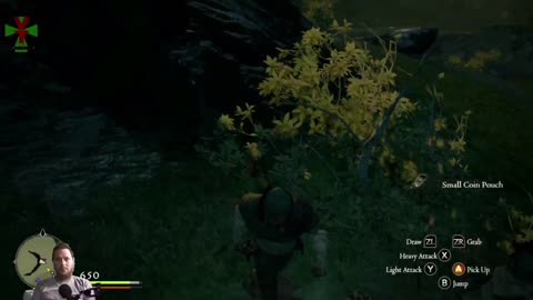 Dragon's Dogma We make it through the fire