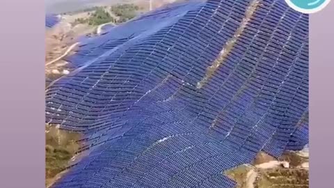 Going Green?