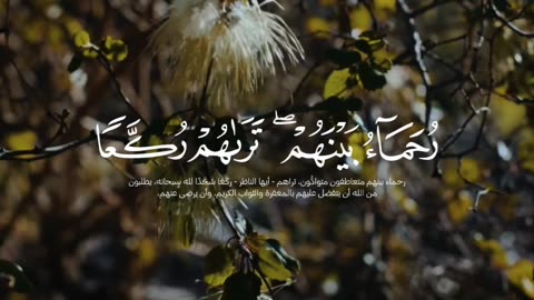 🔥Surah Al-Fatḥ 48:29 - سورة الفتح⚡A Beautiful Description of the Ummah of Muhammad ﷺ 🤍#shorts #viral