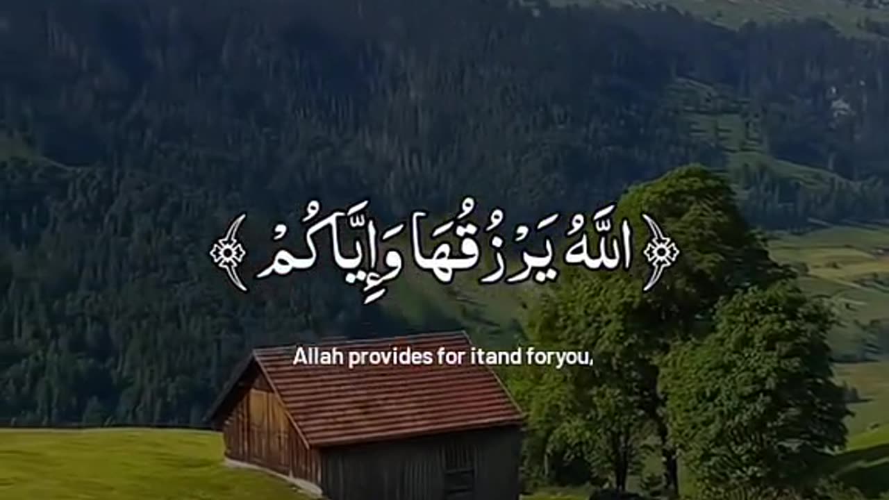 Jazakallah Subahanallah ♥️✨🕊️
