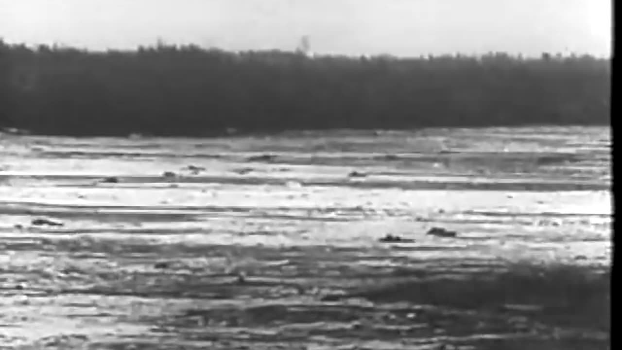 Newsreel of the Estonian and Latvian Waffen-SS in Action