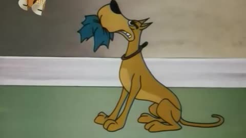 Woody Woodpecker and Friends - 1971x12 - Moochin Pooch