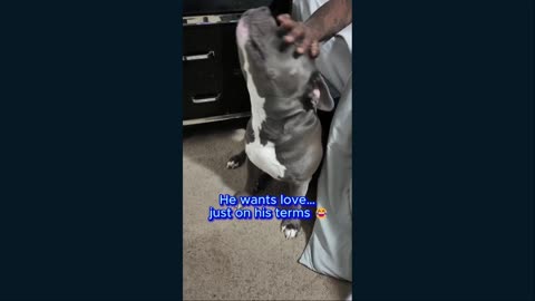 Meet Blue and his family