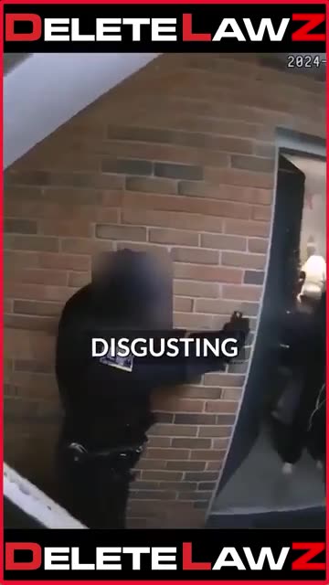 POLICE ARE DOMESTIC TERRORISTS