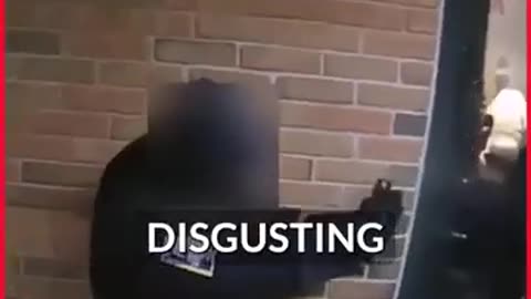 POLICE ARE DOMESTIC TERRORISTS