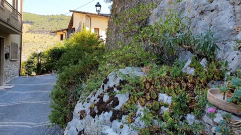 Gentle Mountain Streams Calming Sounds for Stress-Free Days