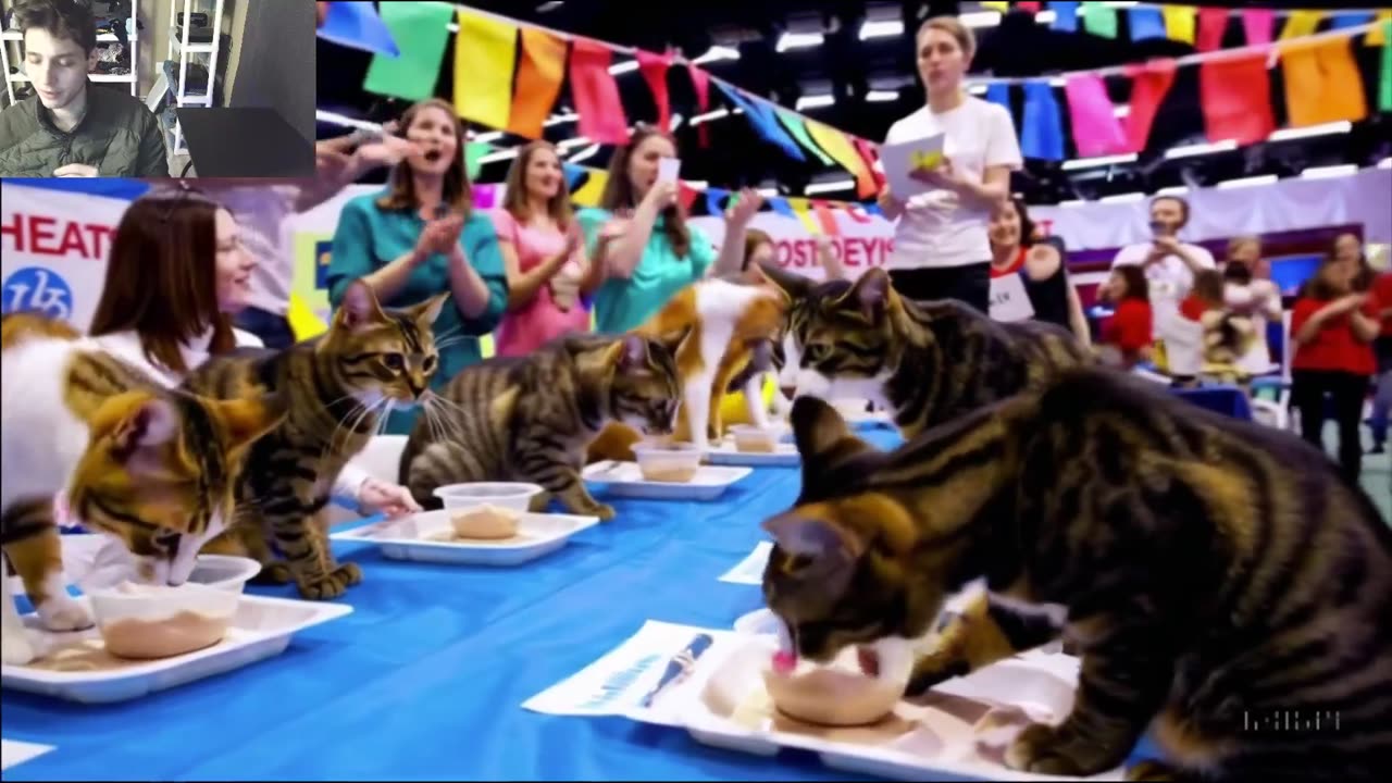Outtake #1,180 Of The Cats Attempt The Vegan Yogurt Eating Contest Fake Funny Parody Video