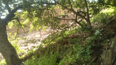 کوهستان کن