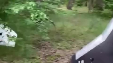 👀❗️While searching for mushrooms, people came across several "lost" Russians UAVs.