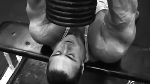 Animal Pak Vol. 2