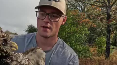 Another unexpected animal encounter .This owl really stuck in the barbed wire.