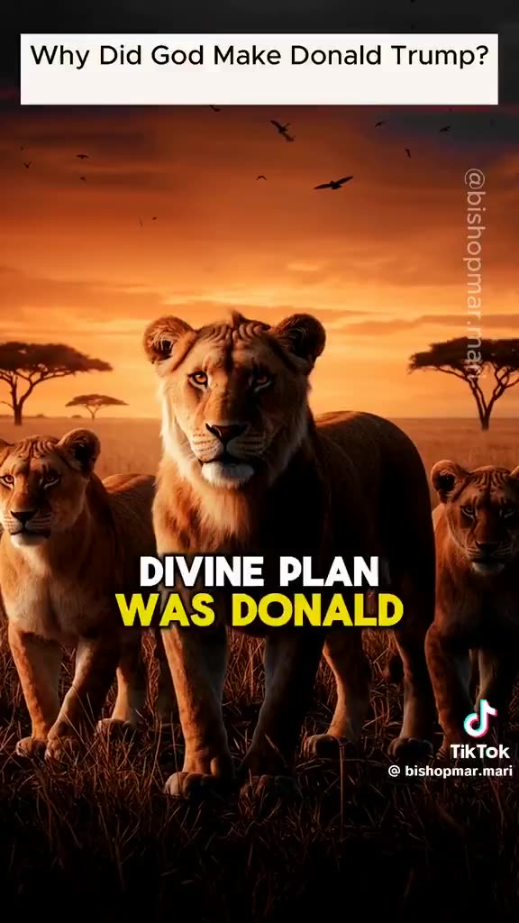 Why did God make Donald Trump?