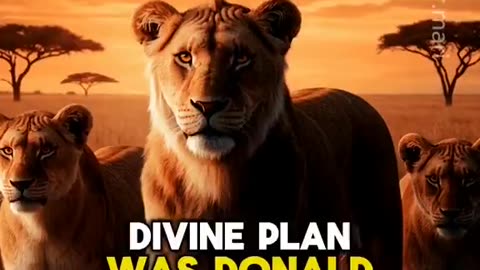 Why did God make Donald Trump?