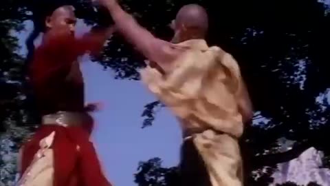 Wu Tang Collection - Shaolin vs Lama " A9E TV "