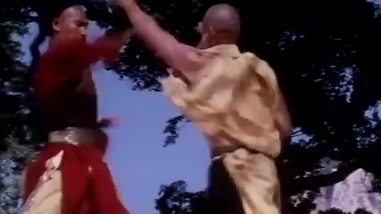 Wu Tang Collection - Shaolin vs Lama " A9E TV "