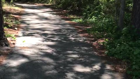 Bike ride on a trail