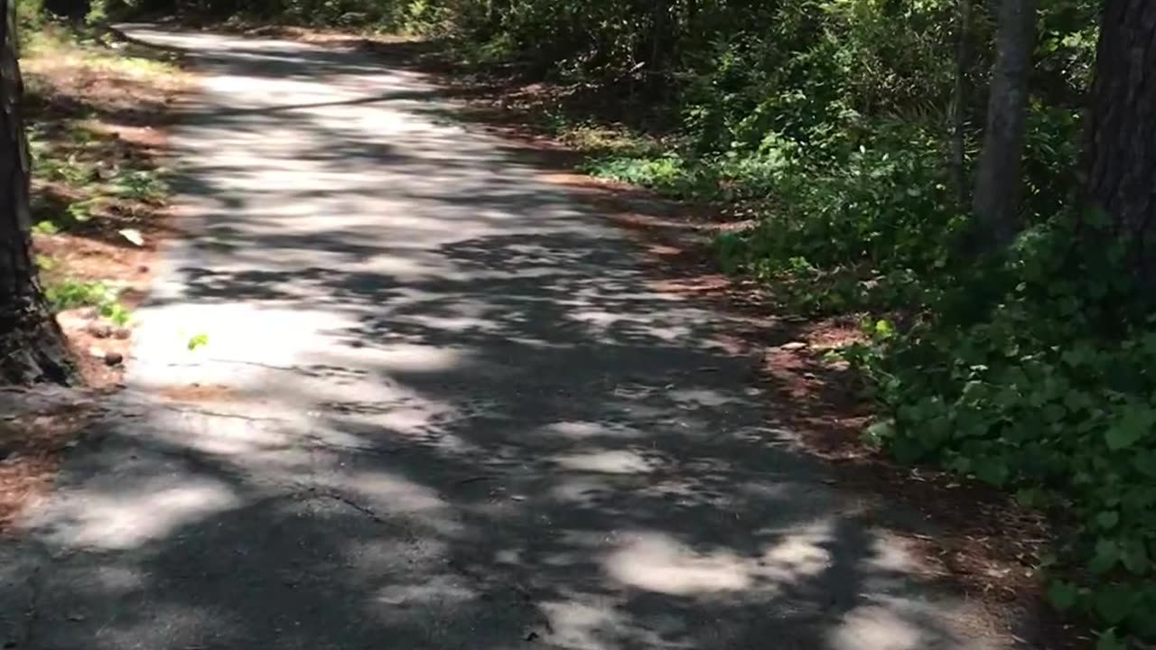 Bike ride on a trail