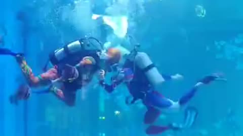 海洋馆表演都这么燃了，全场小朋友都在喊奥特曼加油