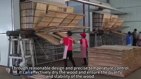 wood veneer dryer